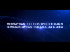 Wprowadzenie firmy MICONVEY